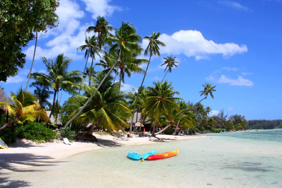 White sand beach and clear water near palm trees