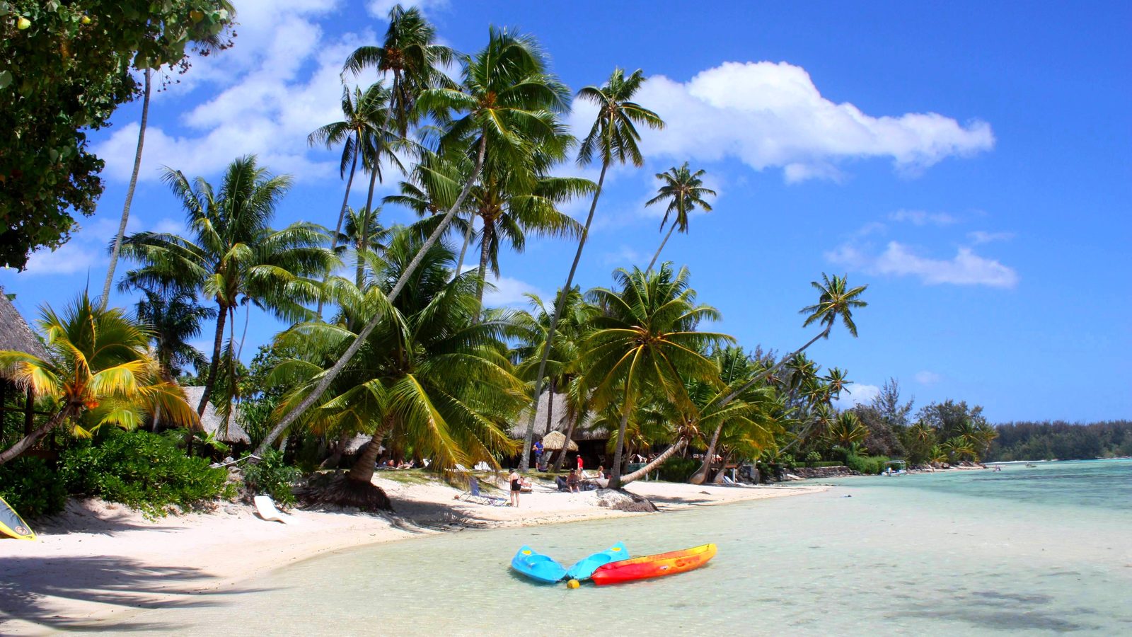 Palm trees and a calm beach lagoon in French Polynesia